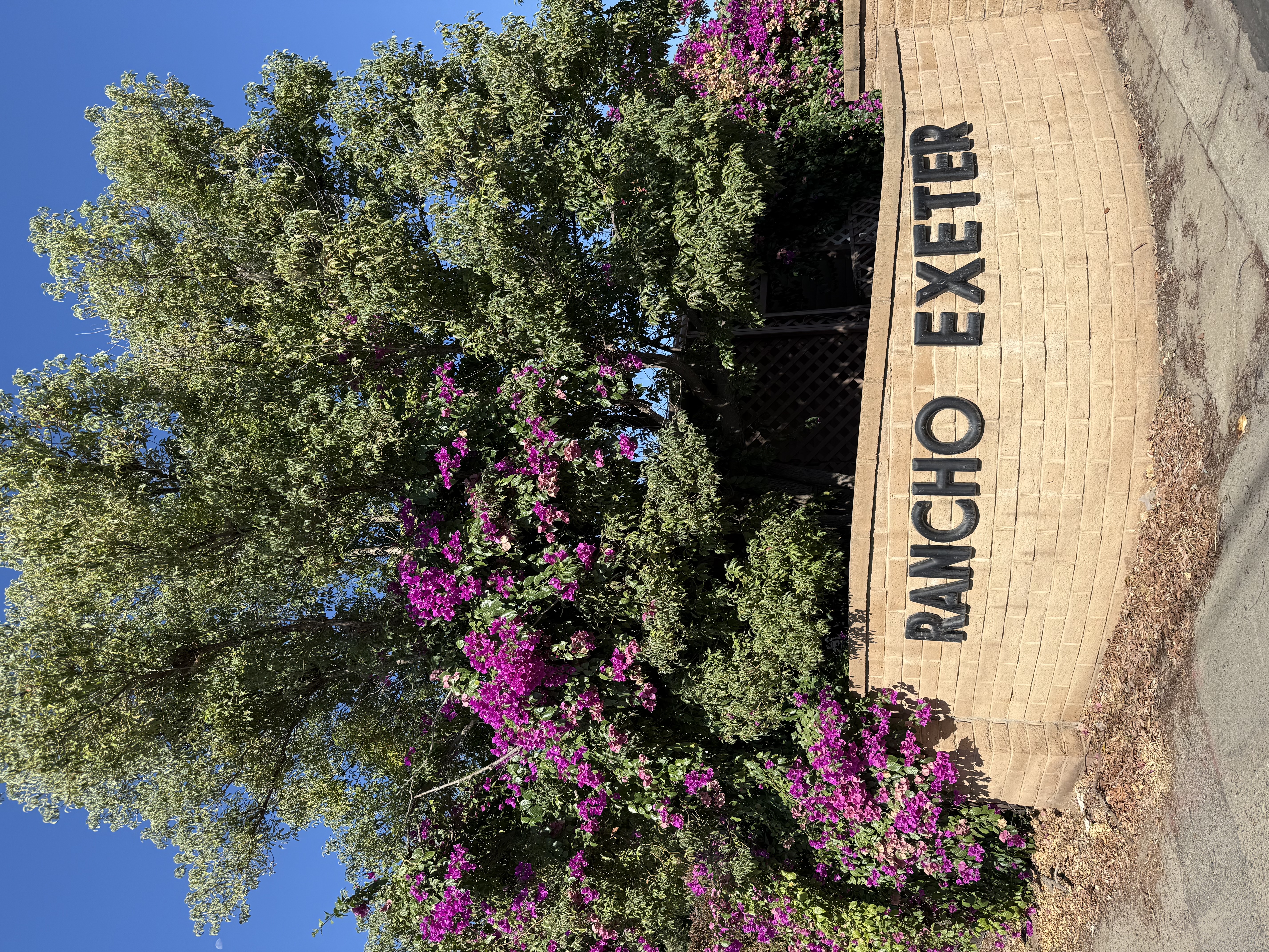 Rancho Exeter entrance sign with bougainvillea